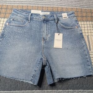 Judy Blue Blue Jean Shorts Raw Hem